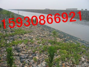 筑牢生態(tài)屏障，守護(hù)江河安瀾——探析格賓網(wǎng)技術(shù)在防洪護(hù)坡及設(shè)施管理中的應(yīng)用