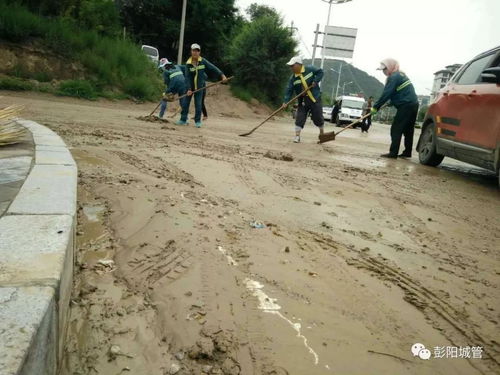 防汛救災，彭陽城管在行動——筑牢防洪除澇設施管理“安全堤”