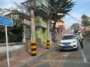 微循環 初顯成效市民支持率達88