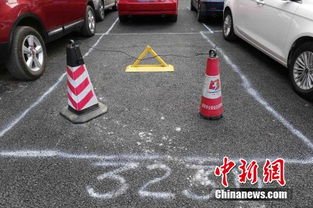 沈陽一新鋪路面被停車圈地 自畫車位如涂鴉 圖集