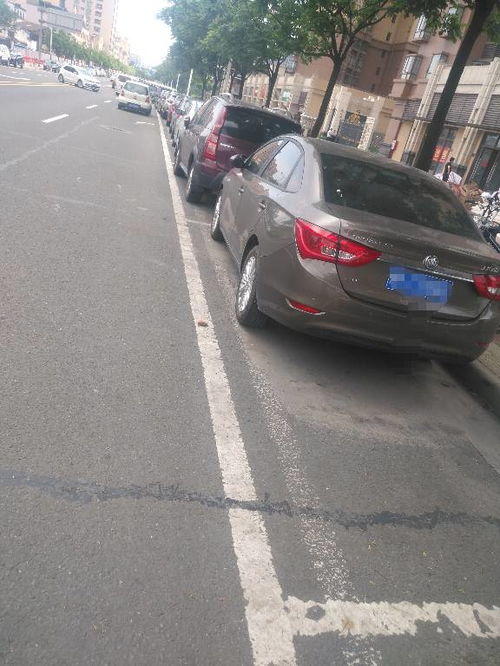 路邊畫的白色停車位,可以長期停車嗎,如圖下