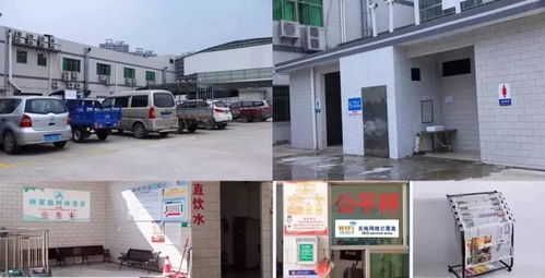 最新地方政府滿意度排名來了 肇慶這個區(qū)位列全省前五