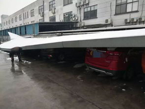 嘉興一工廠停車棚被積雪壓塌,砸壞多輛轎車......