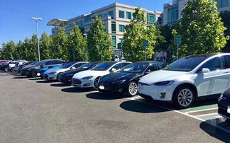 周末燴 庫克哭了 蘋果停車場一排特斯拉