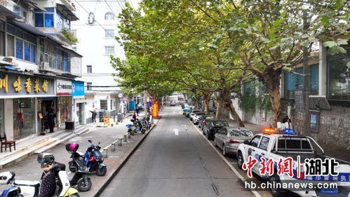 中新網湖北 湖北宜昌 難停車 逐步向 好停車 轉變
