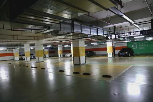 合肥南站 p3停車場春運期間免費開放