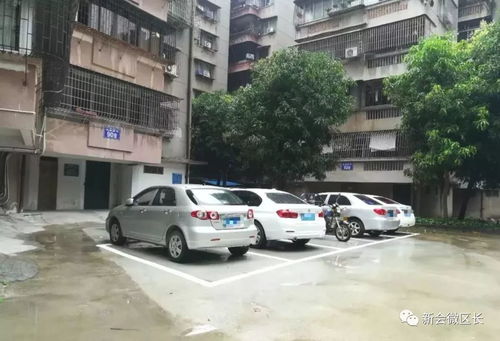 區(qū)人大常委會(huì)召開第三十一次會(huì)議